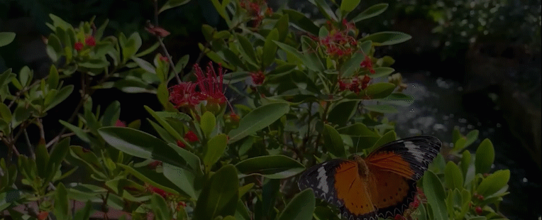 Sliced Bali Ocean Pebble Tile